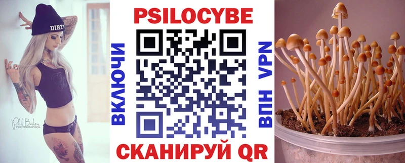 Купить закладки  Барыш  Псилоцибиновые грибы GOLDEN TEACHER 